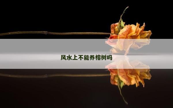 风水上不能养榕树吗