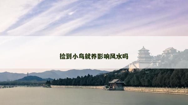 捡到小鸟就养影响风水吗