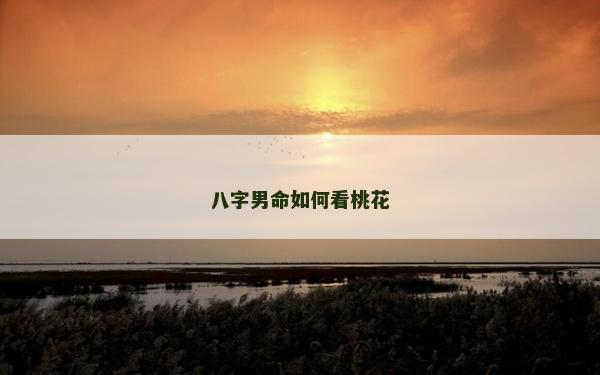 八字男命如何看桃花