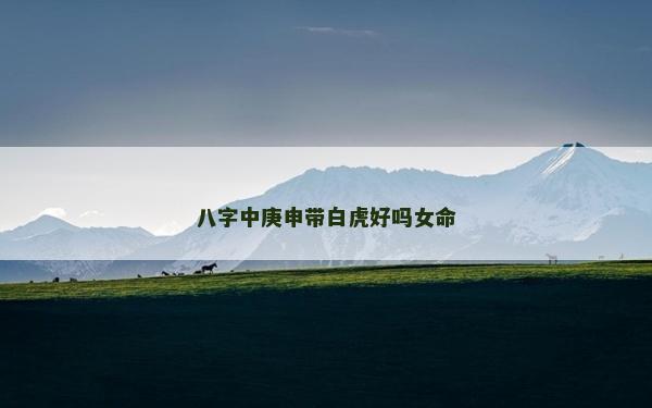 八字中庚申带白虎好吗女命
