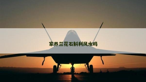 家养兰花石斛利风水吗