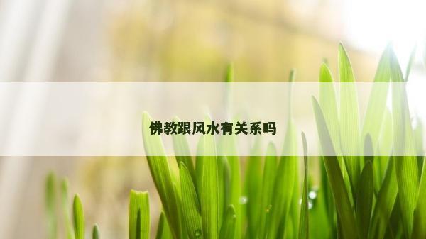 佛教跟风水有关系吗