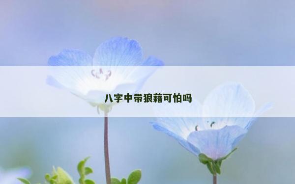 八字中带狼藉可怕吗