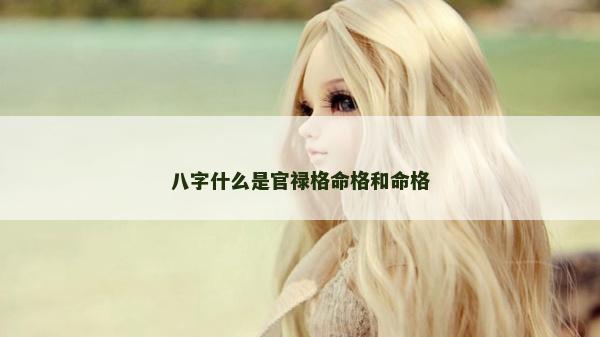 八字什么是官禄格命格和命格