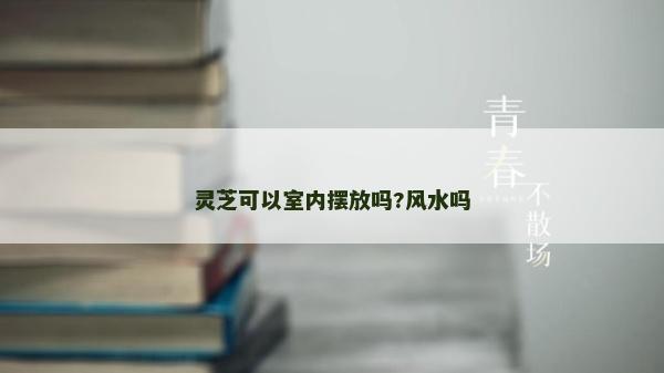 灵芝可以室内摆放吗?风水吗