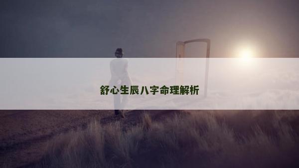 舒心生辰八字命理解析