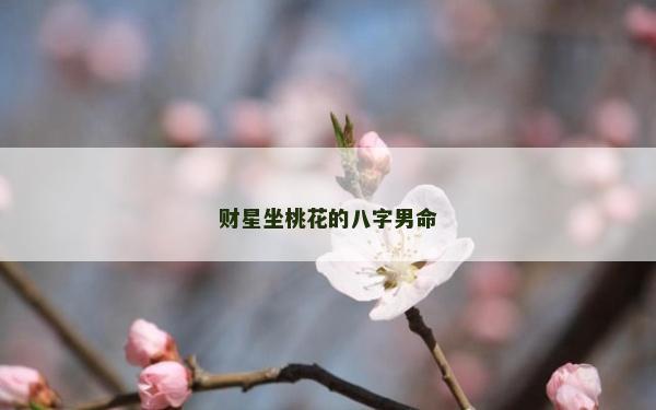 财星坐桃花的八字男命