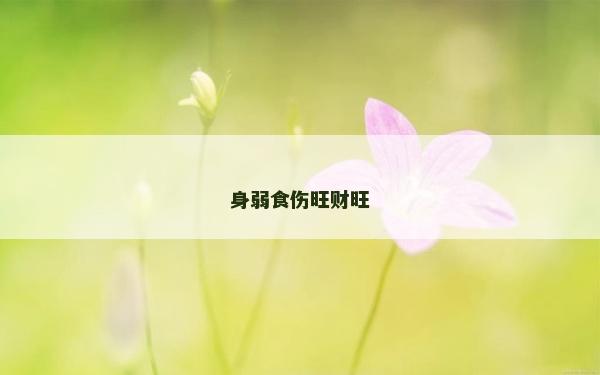 身弱食伤旺财旺