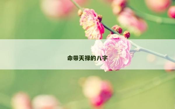 命带天禄的八字