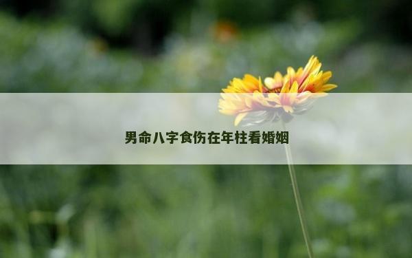 男命八字食伤在年柱看婚姻