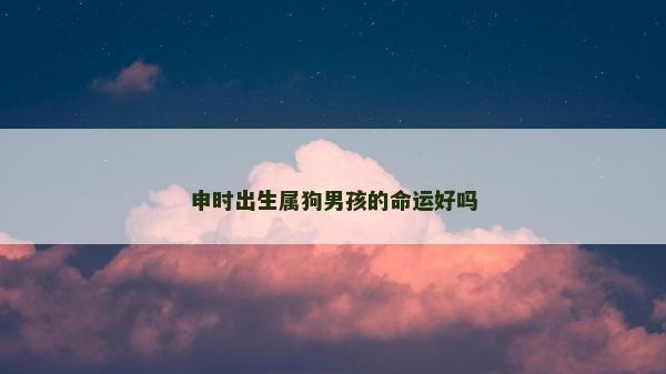 申时出生属狗男孩的命运好吗