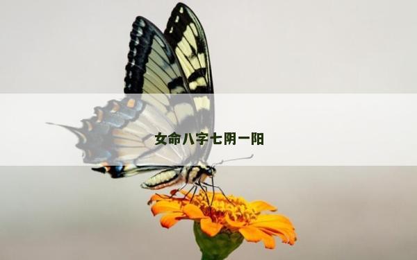 女命八字七阴一阳