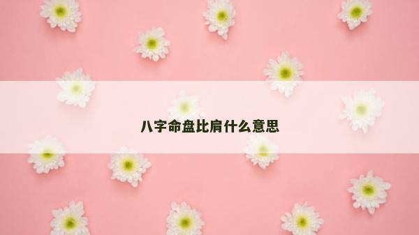 八字命盘比肩什么意思