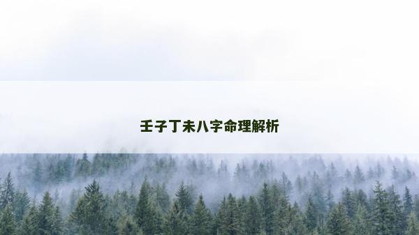 壬子丁未八字命理解析