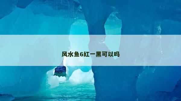 风水鱼6红一黑可以吗