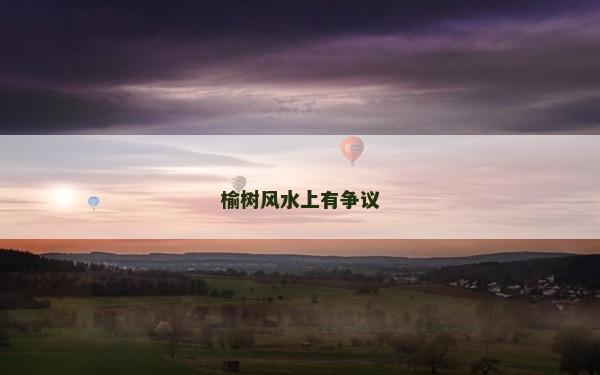 榆树风水上有争议