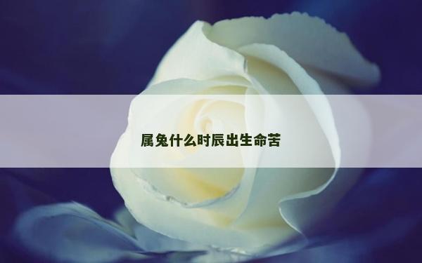 属兔什么时辰出生命苦