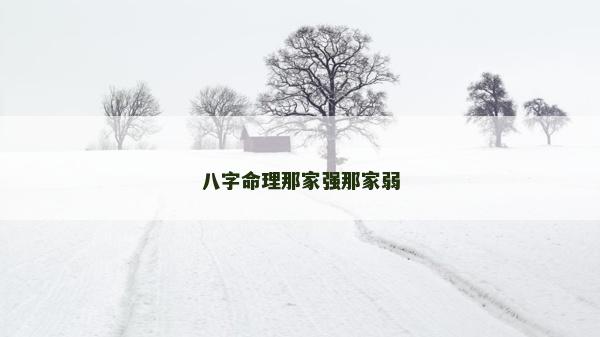 八字命理那家强那家弱