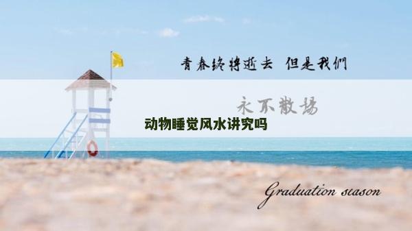 动物睡觉风水讲究吗