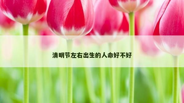 清明节左右出生的人命好不好