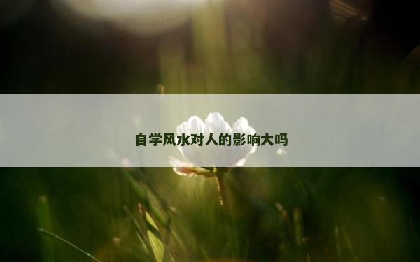 自学风水对人的影响大吗