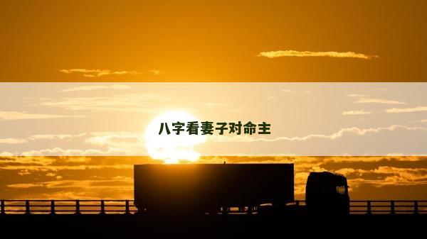 八字看妻子对命主
