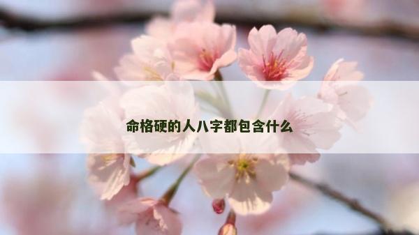 命格硬的人八字都包含什么