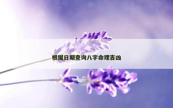 根据日期查询八字命理吉凶