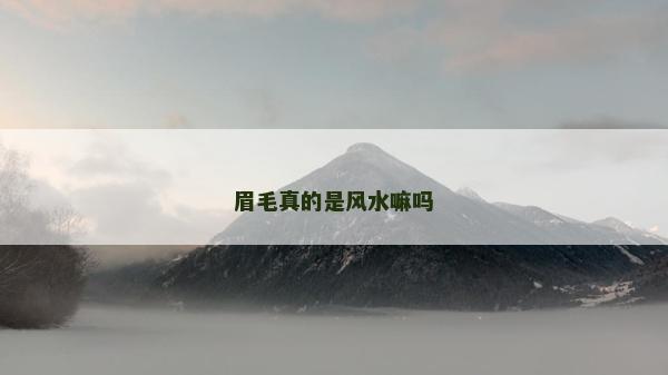 眉毛真的是风水嘛吗
