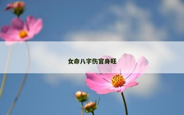 女命八字伤官身旺