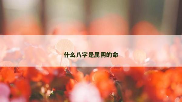 什么八字是属阴的命