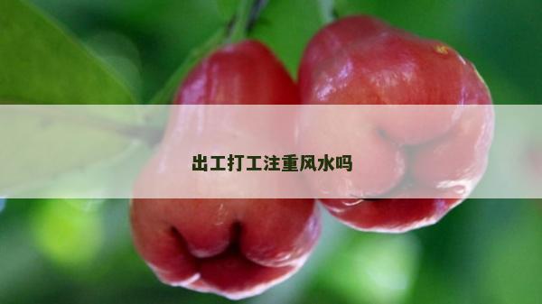 出工打工注重风水吗