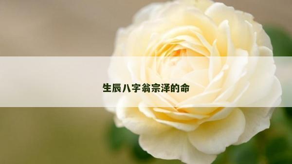 生辰八字翁宗泽的命