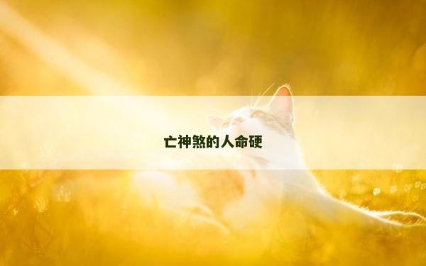 亡神煞的人命硬