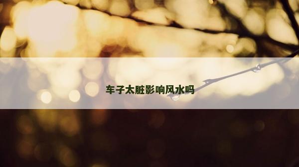 车子太脏影响风水吗
