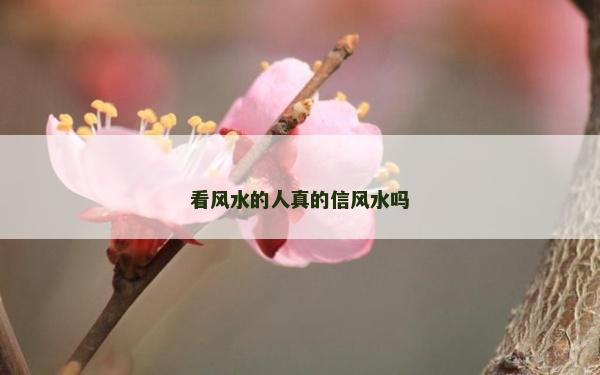 看风水的人真的信风水吗