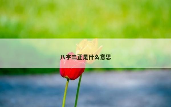 八字三正是什么意思