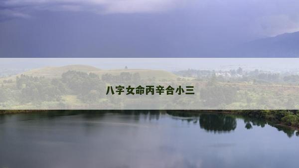 八字女命丙辛合小三