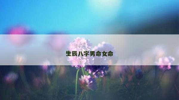 生辰八字男命女命