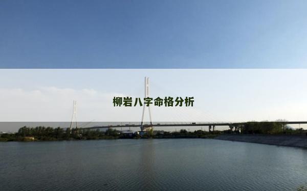 柳岩八字命格分析