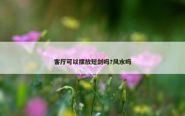 客厅可以摆放短剑吗?风水吗