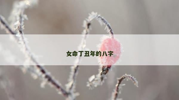 女命丁丑年的八字